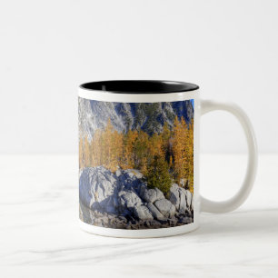 Taza Bicolor WA, Desierto de los Lagos Alpinos, Enchantment 7