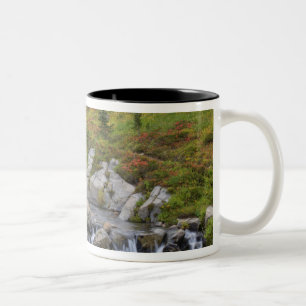 Taza Bicolor WA, Parque Nacional Mt. Rainier, arroyo Edith