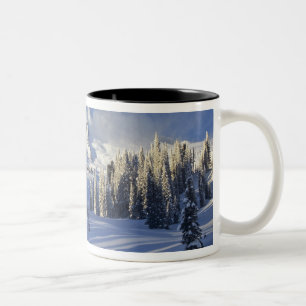 Taza Bicolor WA, Parque Nacional Mt. Rainier, Mt. Rainier y Par