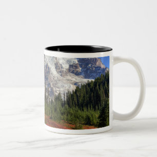 Taza Bicolor WA, Parque Nacional Mt. Rainier, Paradise Valley