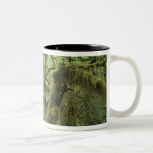 Taza Bicolor WA, policía olímpica, bosque lluvioso Hoh, Salón d