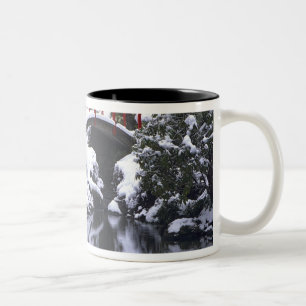 Taza Bicolor WA, Seattle, Puente lunar y estanque después del i