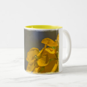 Taza Bicolor Wallflower Occidental