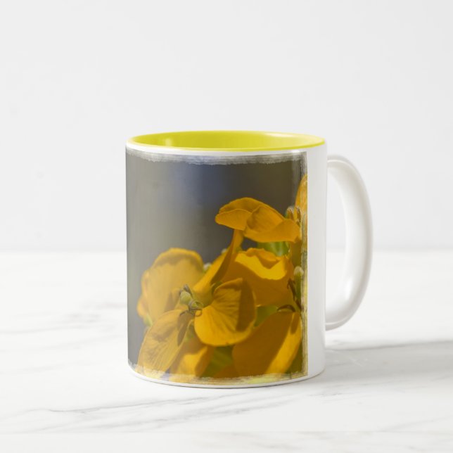 Taza Bicolor Wallflower Occidental (Anverso derecho)