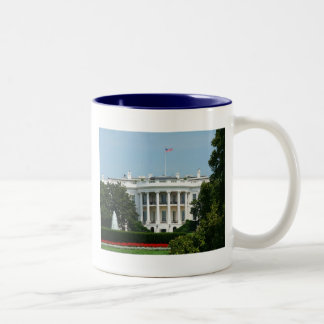 Taza Bicolor Washington, D.C. Mug