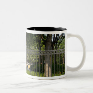Taza Bicolor Washington, DC, estatua de George Washington,