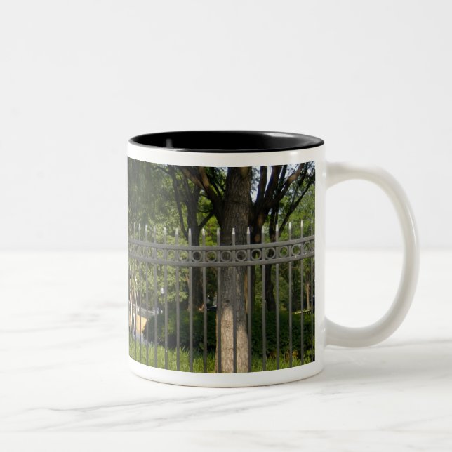 Taza Bicolor Washington, DC, estatua de George Washington, (Derecha)