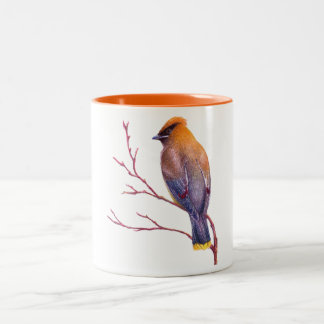 Taza Bicolor Waxwing de cedro