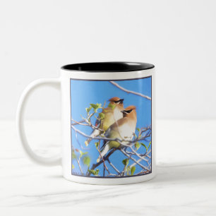 Taza Bicolor Waxwings de cedro