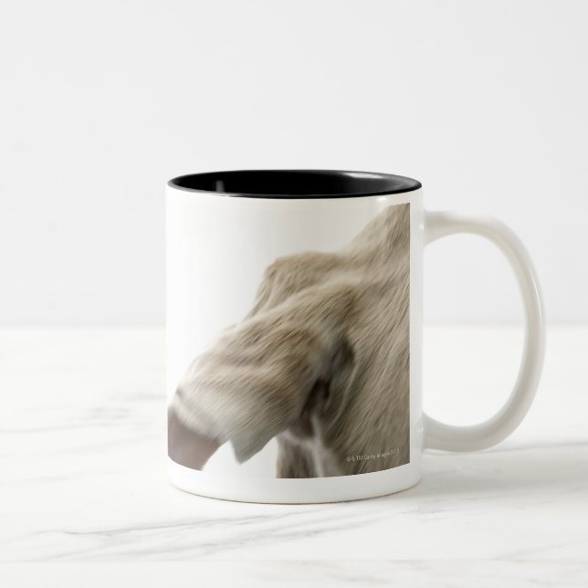 Taza Bicolor Weimaraner 2 (Derecha)