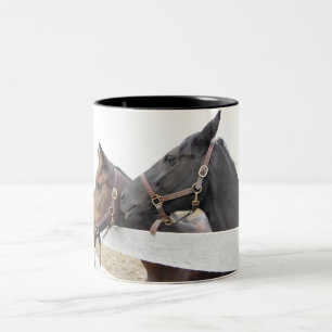 Taza Bicolor Whisperer de caballo original