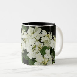 Taza Bicolor White Viburnum