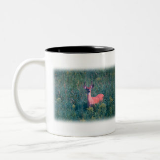 Taza Bicolor Whitetail Deer Hunter Buck