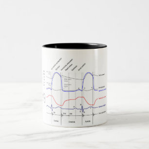 Taza Bicolor Wiggers Diagrama de eventos cardiacos ventrículo i