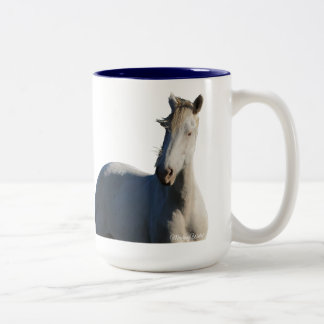 Taza Bicolor Wild Mustang Stallion of Steens