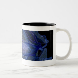 Taza Bicolor wireframe 3d de los músculos de ojo en un zócalo