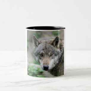Taza Bicolor Wolf_011