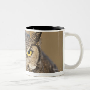 Taza Bicolor Wyoming, los E.E.U.U.