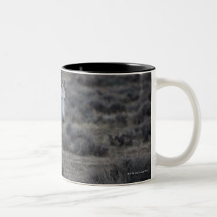 Taza Bicolor Wyoming, los Estados Unidos de América