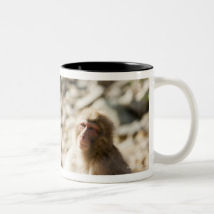 Taza Bicolor Yamanouchi, Chubu, prefectura de Nagano, Japón 2