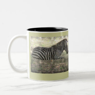 TAZA BICOLOR ZEBRA SITUADA EN EL TERRENO /PHOTOG/ DIG.MANIP