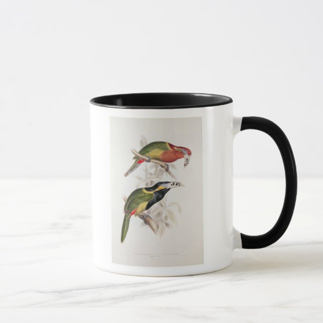 Taza Bill manchado Aracari, siglo XIX (Derecha)