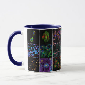 Taza Biología en la mug