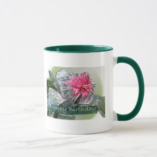 Taza Birthday Pink Bromeliad