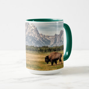 Taza Bison in the Tetons