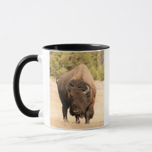 Taza Bisonte