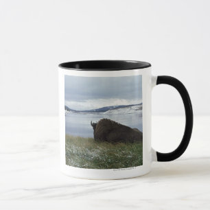 Taza Bisonte que descansa por el río Yellowstone con