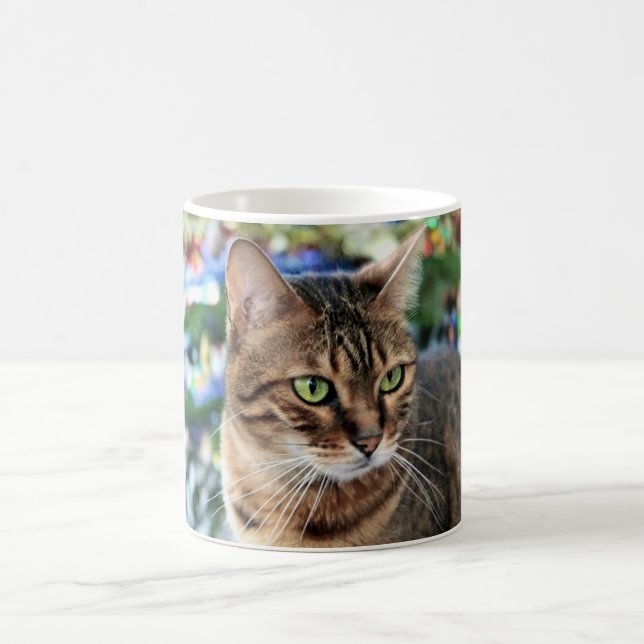 Taza blanca clásica blanca 325ml del gato hermoso (Centro)