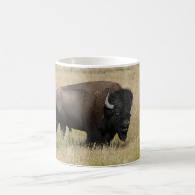 Taza blanca clásica del búfalo (Centro)