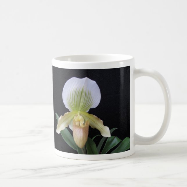 Taza blanca de la orquídea de deslizador (Derecha)