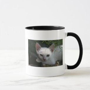 Taza blanca del gatito