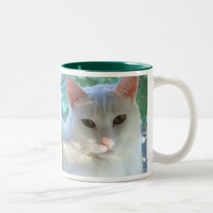 Taza blanca del gato del pelo corto con verso
