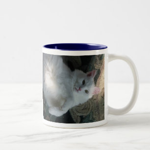 Taza blanca del gato, sorpresa del gatito