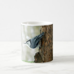 Taza blanca del trepatroncos de Breasted