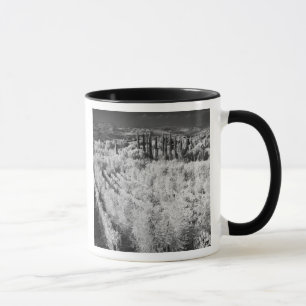 Taza Blanco y Negro de viñedos, Montepulciano, Italia