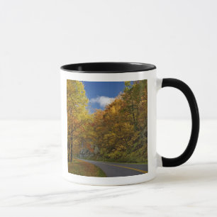 Taza Blue Ridge Parkway curvando a través de colores de