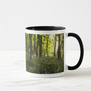 Taza Bluebells en un bosque