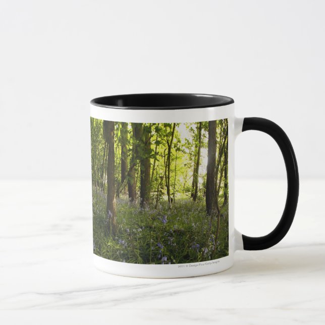 Taza Bluebells en un bosque (Derecha)