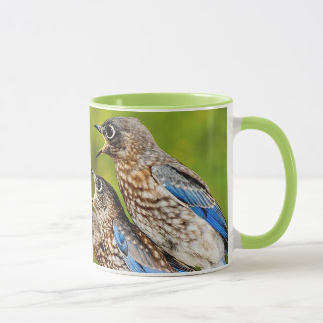 Taza Bluebird del este (Derecha)