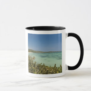 Taza Bluefields, costa suroeste de Jamaica