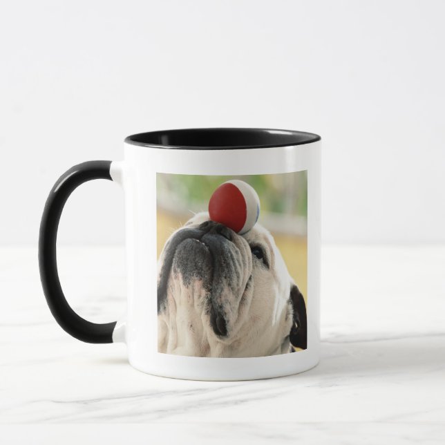 Taza Bola de equilibrio del bulldog en el hocico, (Izquierda)