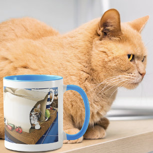 Taza Bolsa de comestibles de gato atigrado curioso azul