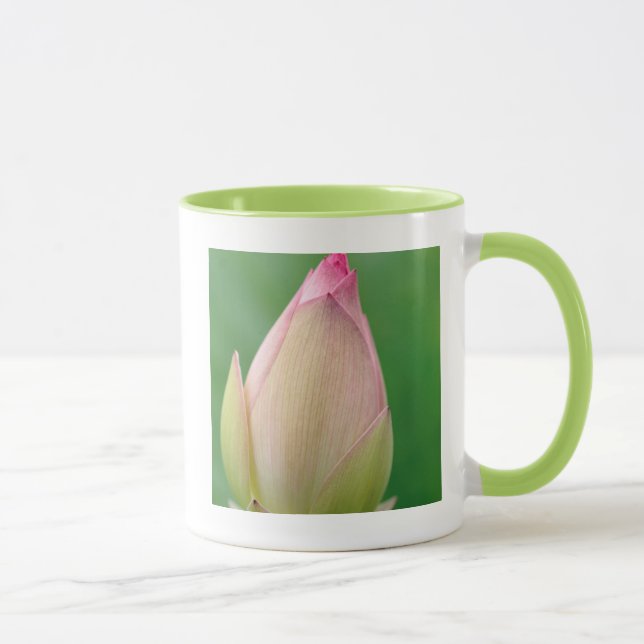 Taza Bombilla sin abrir, bombilla botánica de Durban (Derecha)