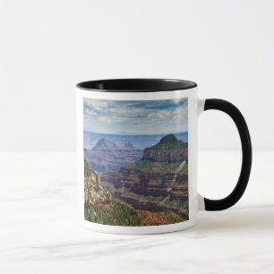 Taza Borde Norte Gran Cañón - Parque Nacional del Gran