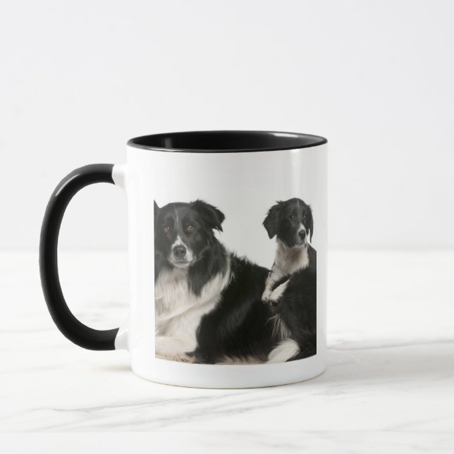 Taza Border collie y perrito de la madre (Izquierda)