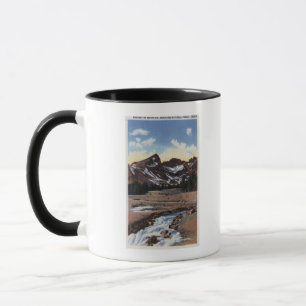 Taza Bosque del Estado de Deschutes, O